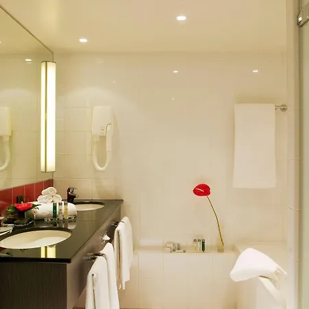 Novotel Paris Cdg Convention רואיסי-אן-פרנס