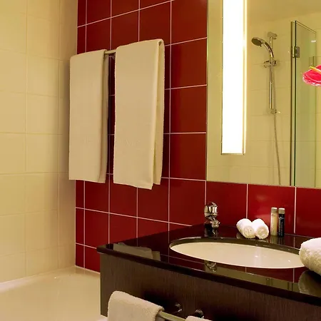 Novotel Paris Cdg Convention מלון רואיסי-אן-פרנס
